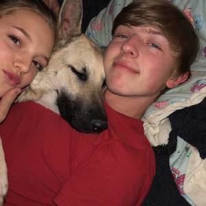 Meet your Posher, Sydney